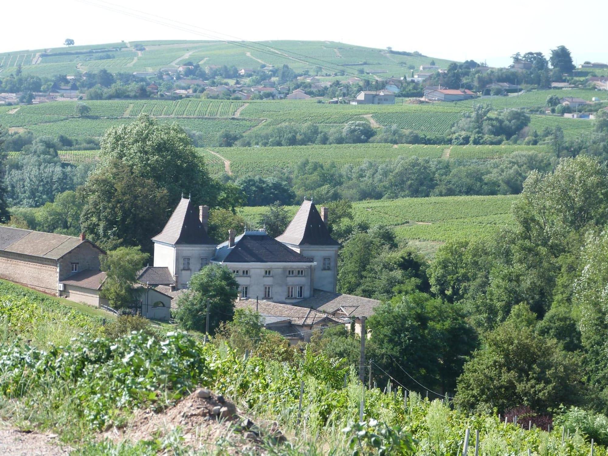 Logis Hotel Des Grands Vins Fleurie Exterior foto